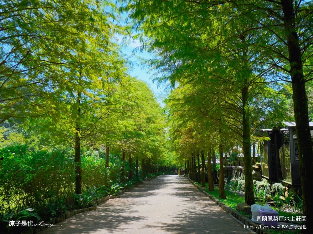 鳳梨屋水上莊 餵羊 早餐 晚餐 帳棚 親子diy