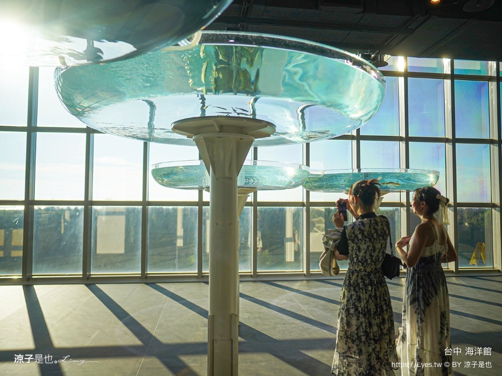 台中海洋館 門票優惠 交通 八大展區 免費票 台中親子景點 台中景點推薦 懶人包 攻略 必看特色