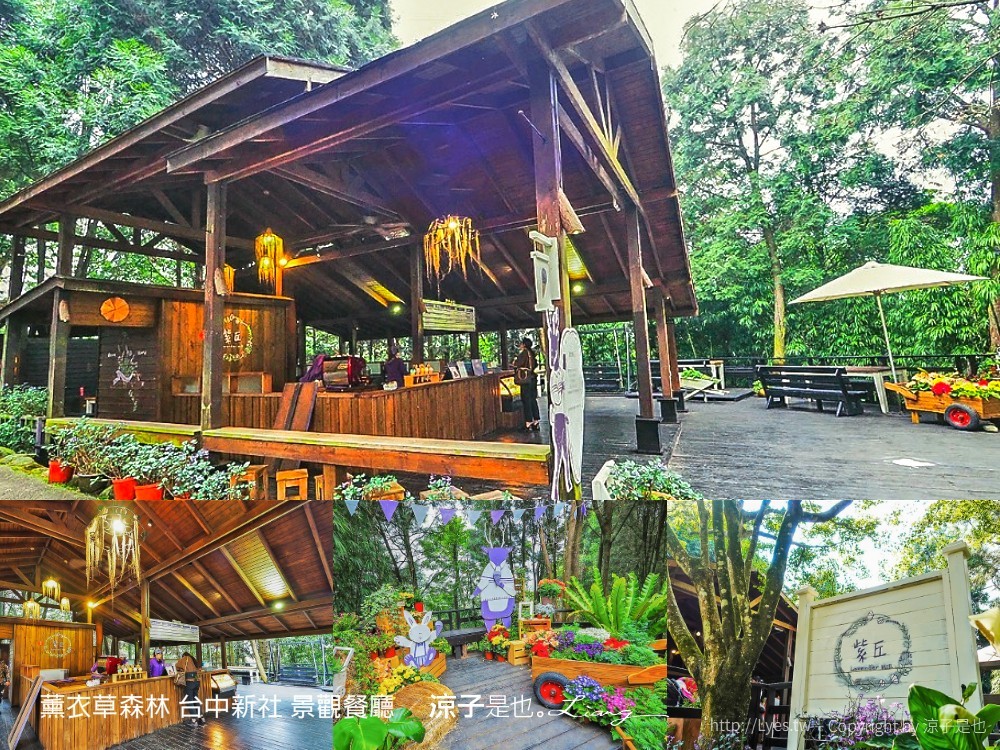 薰衣草森林 台中新社 景觀餐廳