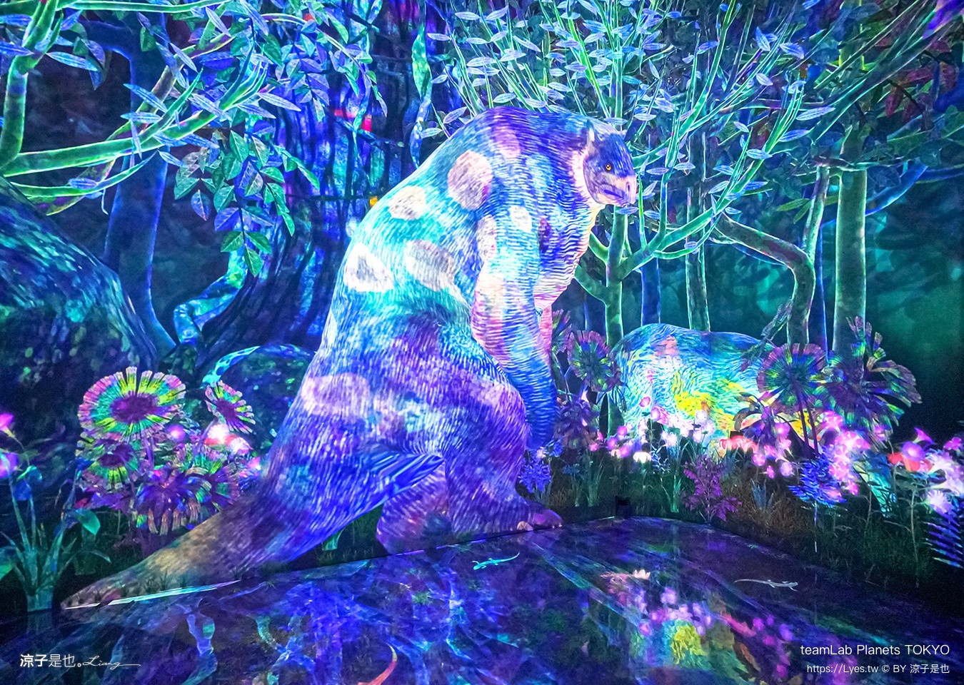 teamLab Planets TOKYO 東京teamLab 豐洲teamLab 東京景點 日本自由行