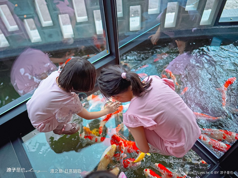 渡之島日高鍋物 菜單 南投埔里火鍋 埔里鍋物 埔里美食推薦 18度c 牛奶鍋 壽喜燒 和牛
