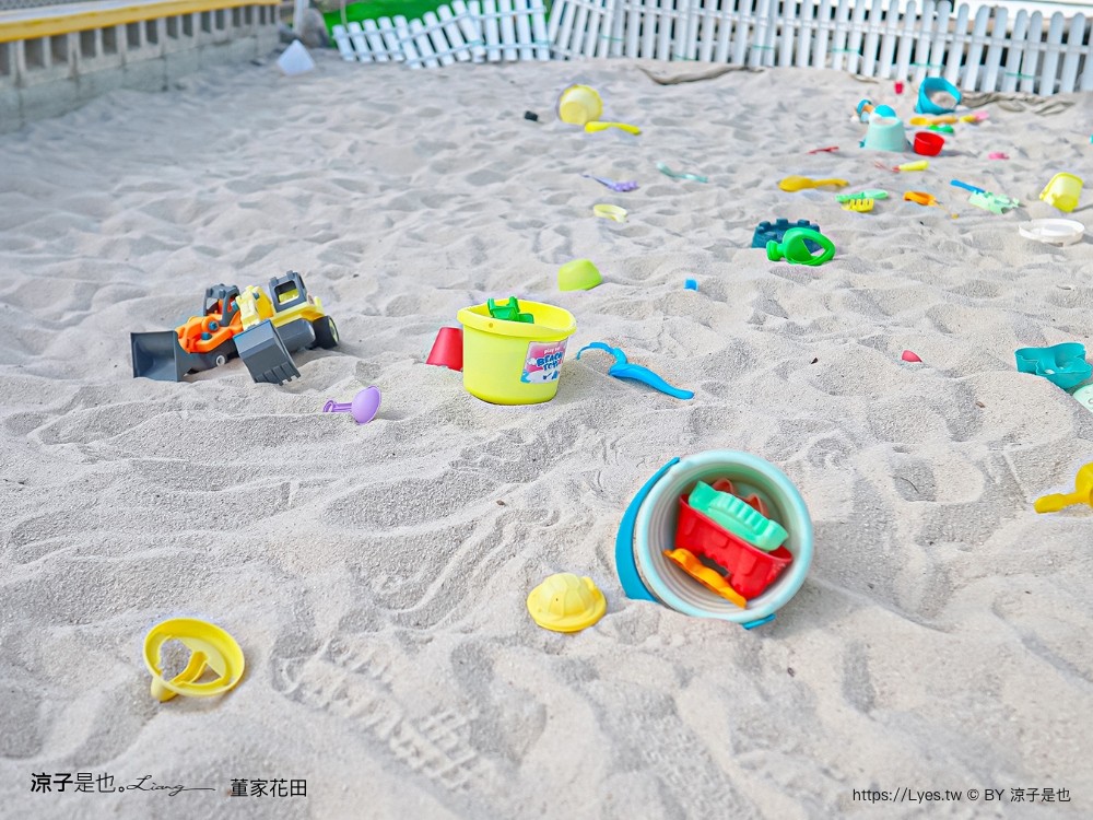 董家花田 菜單 門票 景點 彰化景點 田尾景觀餐廳 花海 戶外野餐 咖啡 交通