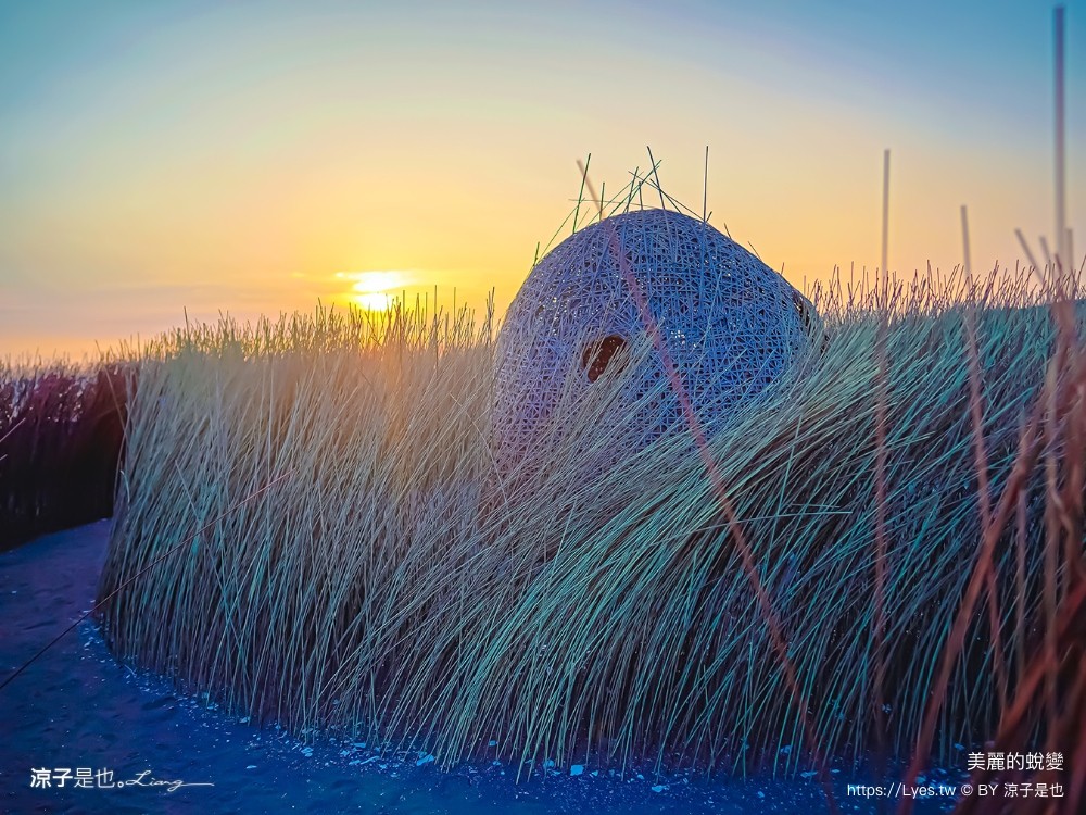 台南景點 七彩同心圓迷宮 ig打卡 開江紀 台江國家公園 鹿耳門 台南地景藝術 台江建庄二百年