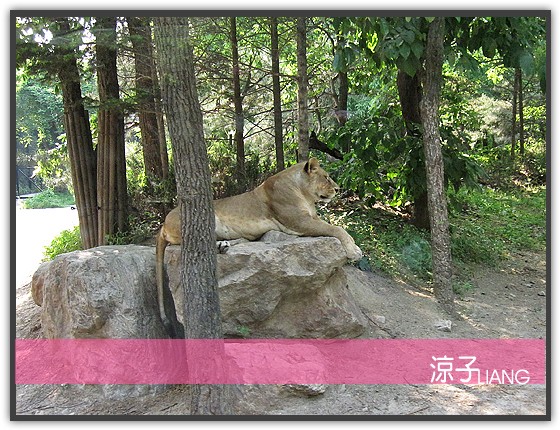 愛寶樂園(動物篇)07