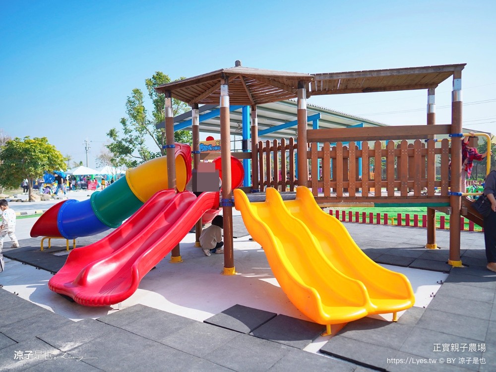 正實親子農場 門票 彰化 親子景點 撿雞蛋 氣墊樂園 溜滑梯 免費 餵小動物體驗 沙坑