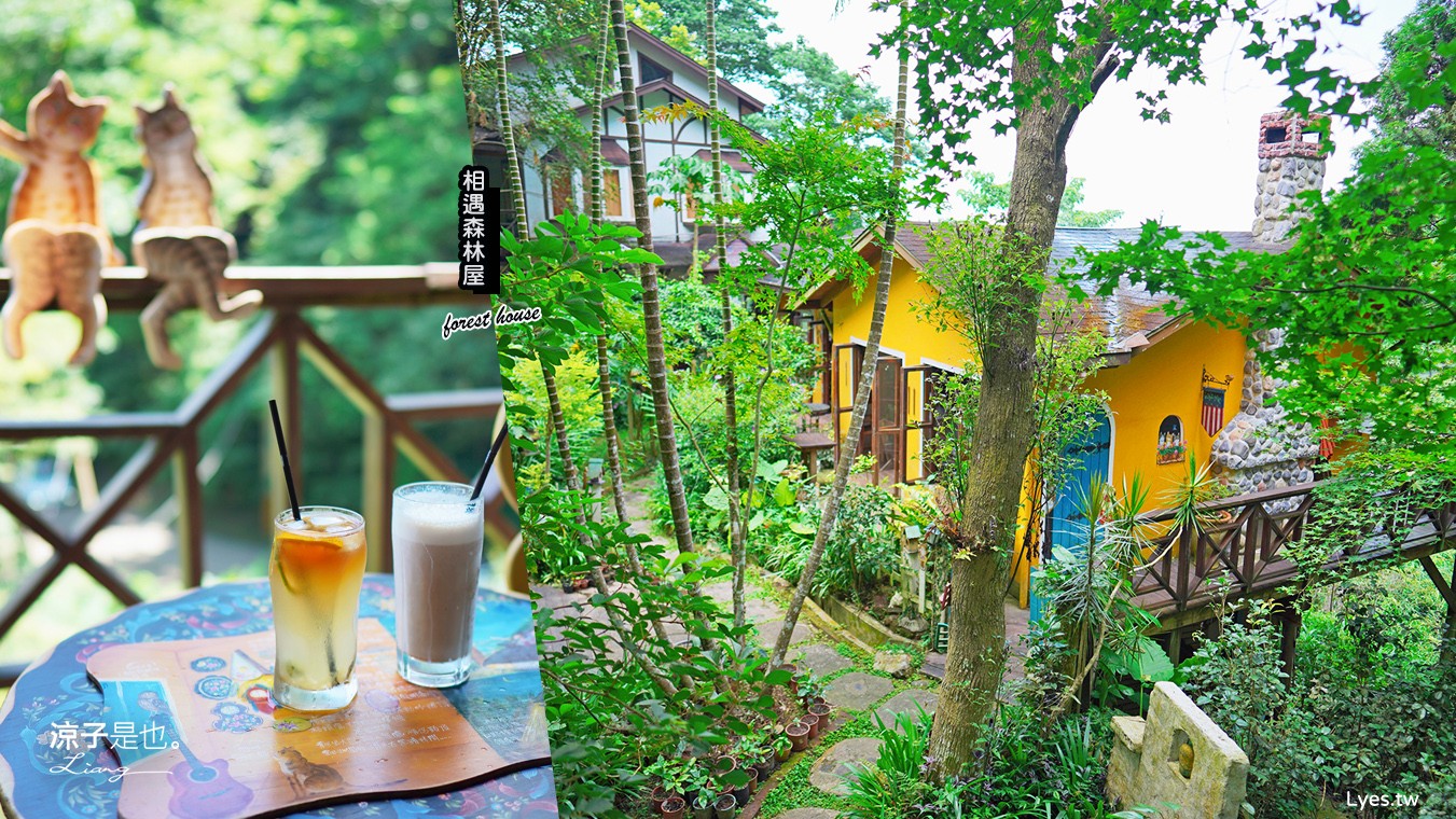 相遇森林屋 菜單 苗栗南庄景點 苗栗景觀餐廳 苗栗景點 森林系 南庄咖啡館 童話屋秘境