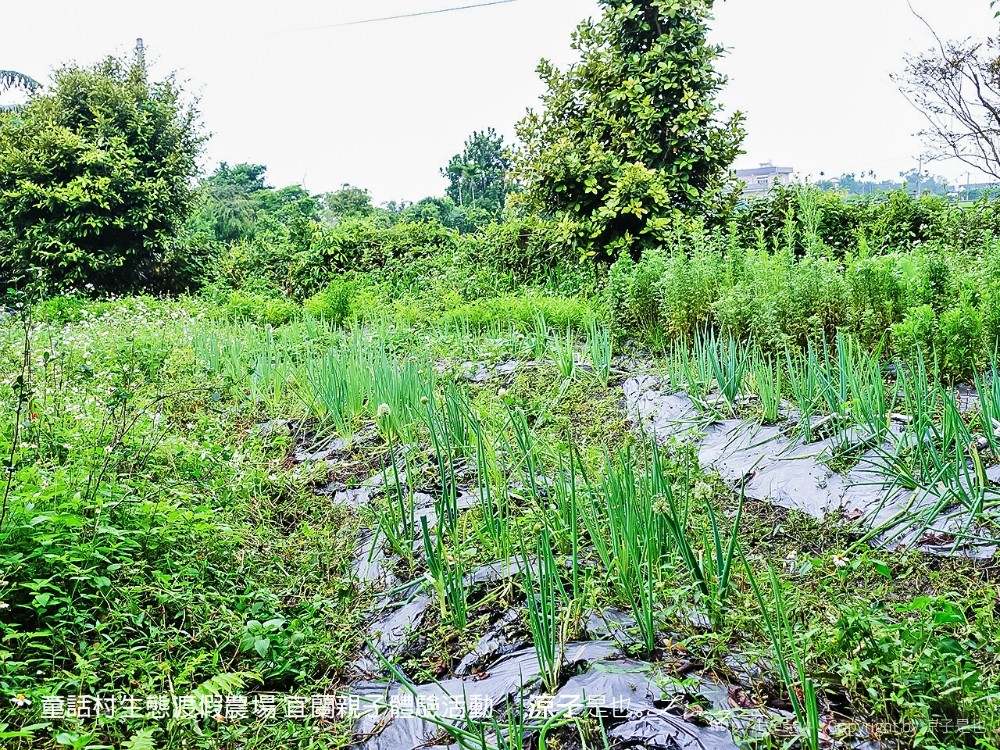 童話村生態渡假農場 宜蘭親子體驗活動