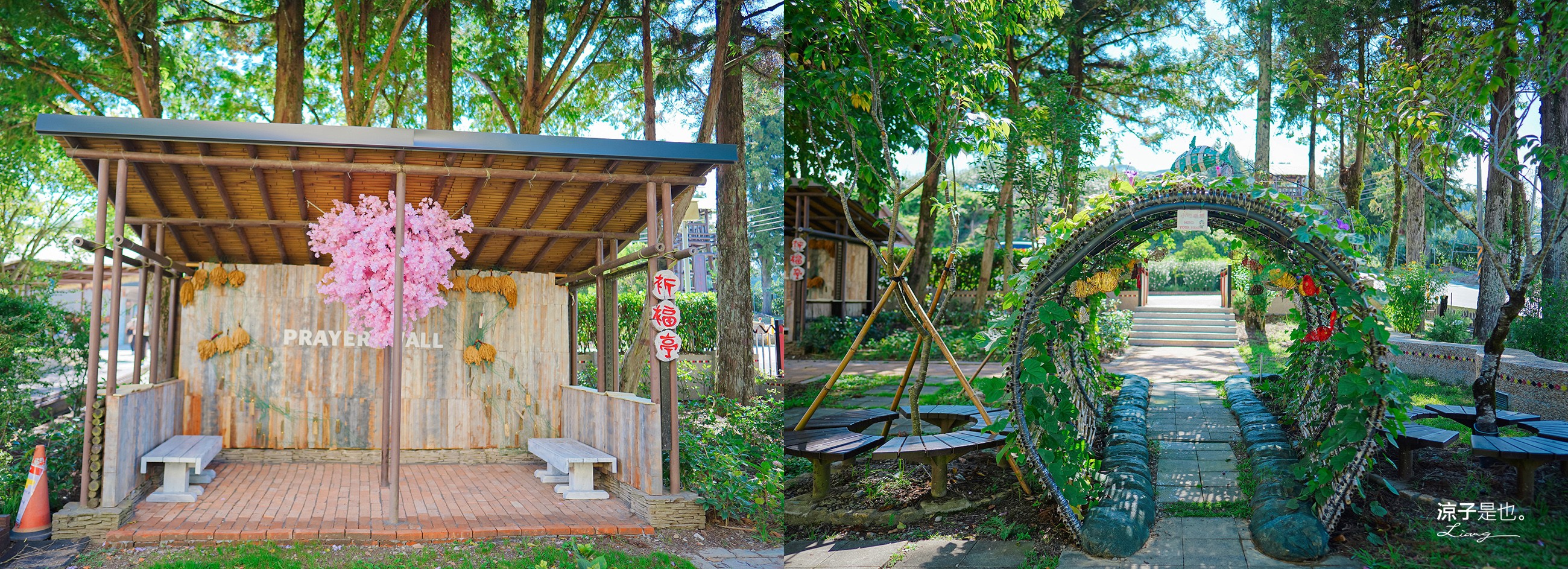 福壽山農場怎麼玩 武陵農場攻略 2022臺中購物節 一日遊 二日遊 門票 民宿房型 住宿 露營 蘋果 楓葉