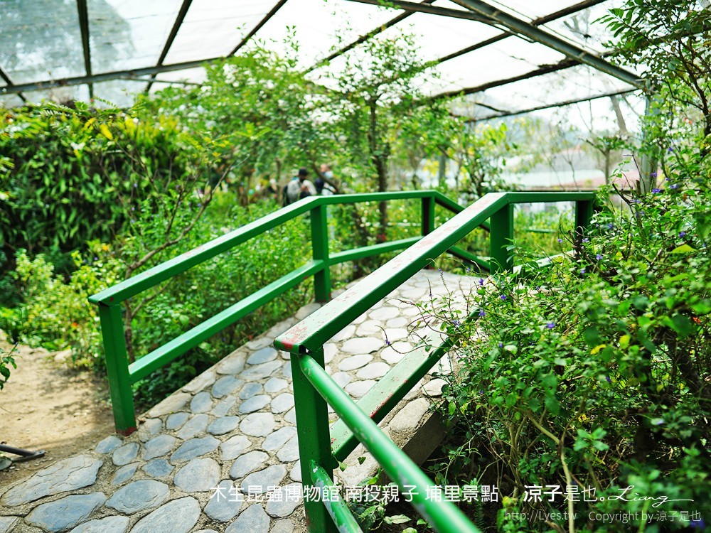 木生昆蟲博物館 南投親子 埔里景點