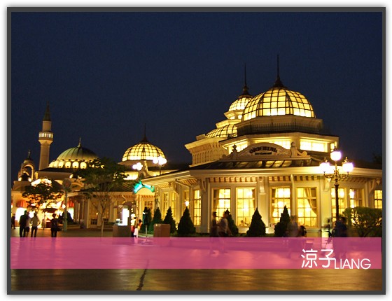 愛寶樂園(夜景篇)10