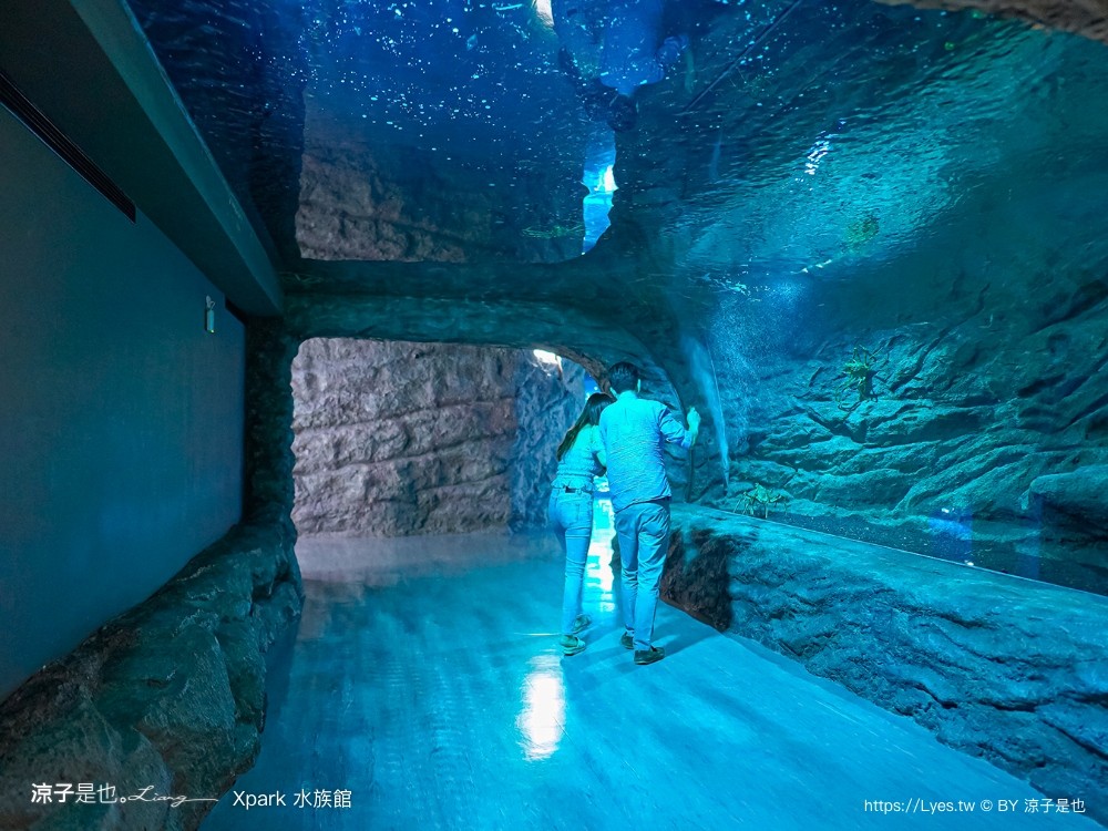 xpark水族館 門票優惠 桃園 親子景點 最新攻略 必看展區 美食餐廳 交通 停車 住宿