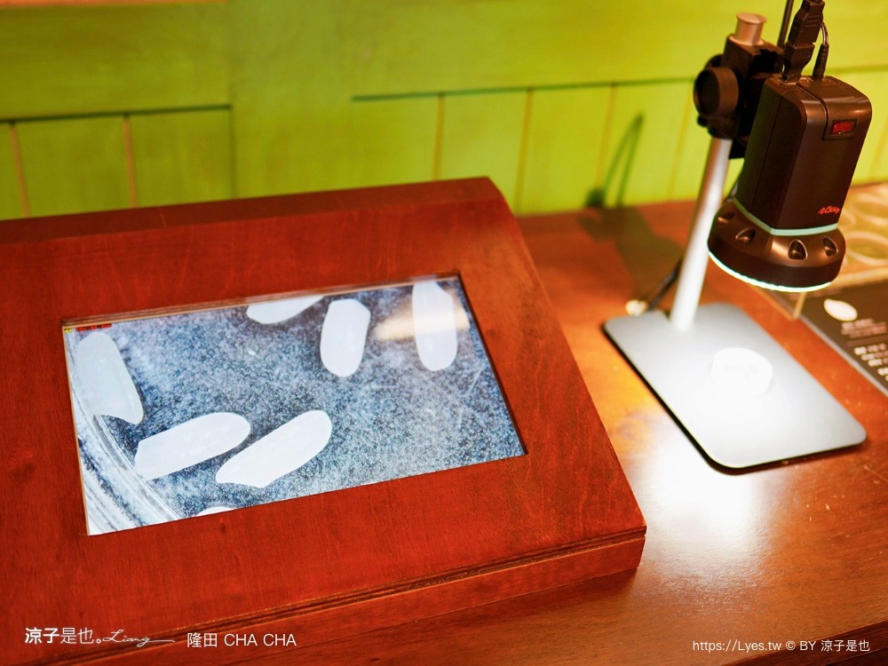 隆田文化資產教育 隆田車站 台南官田景點 柏青哥 親子戲水 考古玩沙