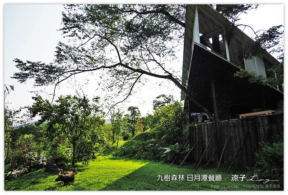 九樹森林 日月潭餐廳 - 涼子是也 blog