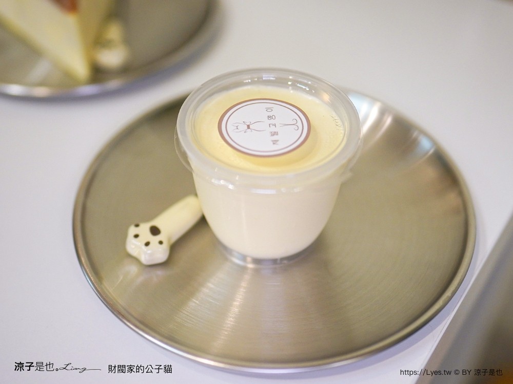 財閥家的公子貓 台南擼貓咖啡廳 台南景點推薦 狐獴 台南親子景點 室內景點 貓咪咖啡館 浣熊 狐獴 袋鼠 球蟒 雪貂 守宮