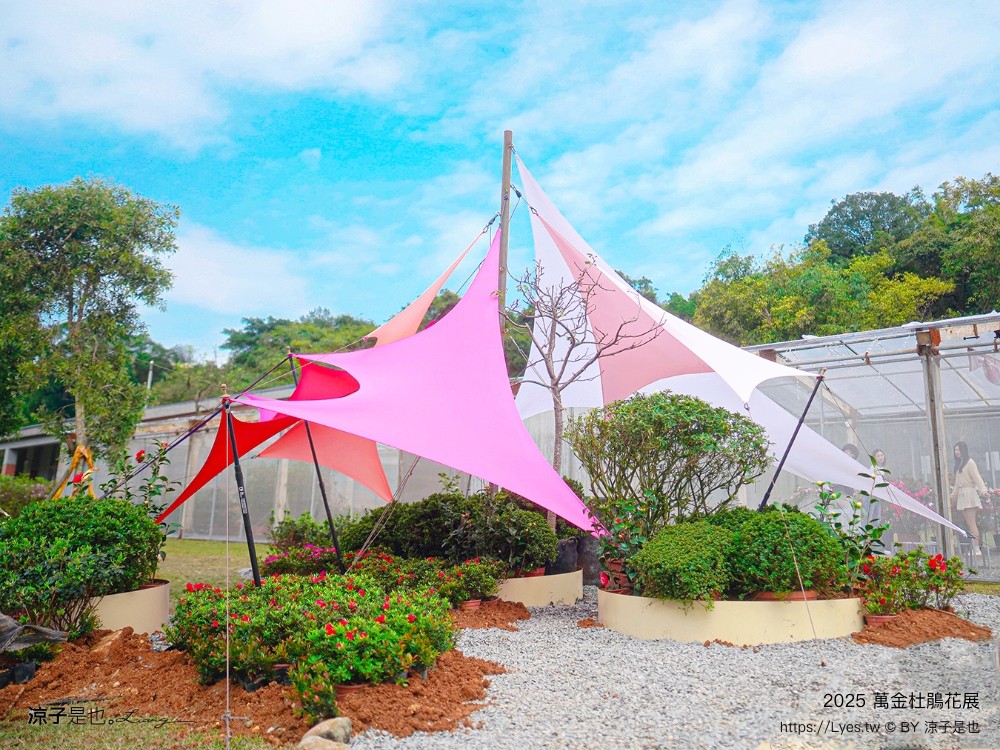 萬金杜鵑花展2025 金山中山溫泉公園 新北景點 北海岸活動 交通 展期 花藝造景 打卡必拍 懶人包