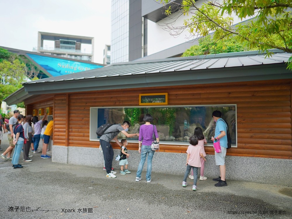 xpark水族館 門票優惠 桃園 親子景點 最新攻略 必看展區 美食餐廳 交通 停車 住宿