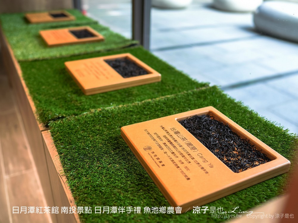 日月潭紅茶館 南投景點 日月潭伴手禮 魚池鄉農會