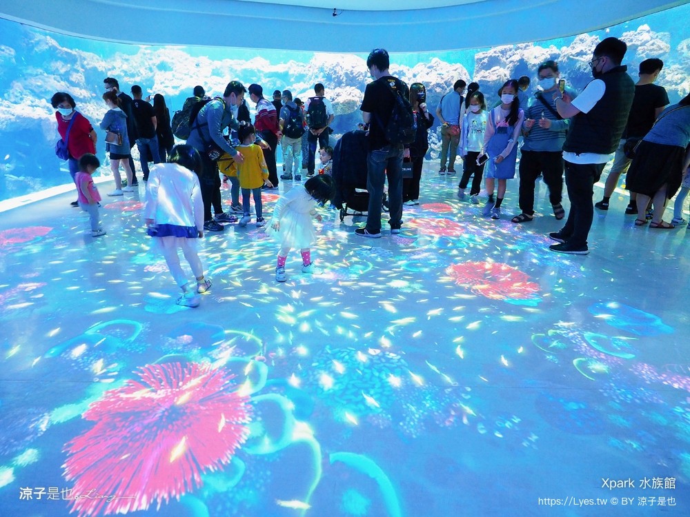 xpark水族館 門票優惠 桃園 親子景點 最新攻略 必看展區 美食餐廳 交通 停車 住宿