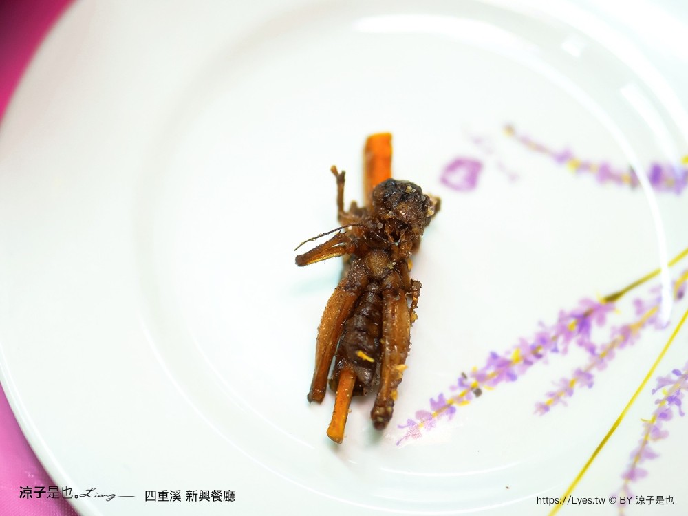 四重溪新興餐廳 菜單 四重溪美食 四重溪溫泉餐廳 屏東美食 屏東餐廳 蟋蟀 蜂蛹