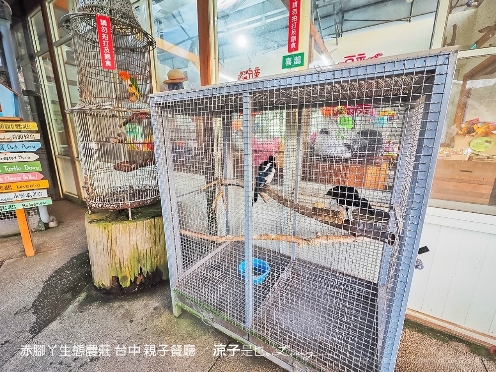 赤腳ㄚ生態農莊 台中 親子餐廳