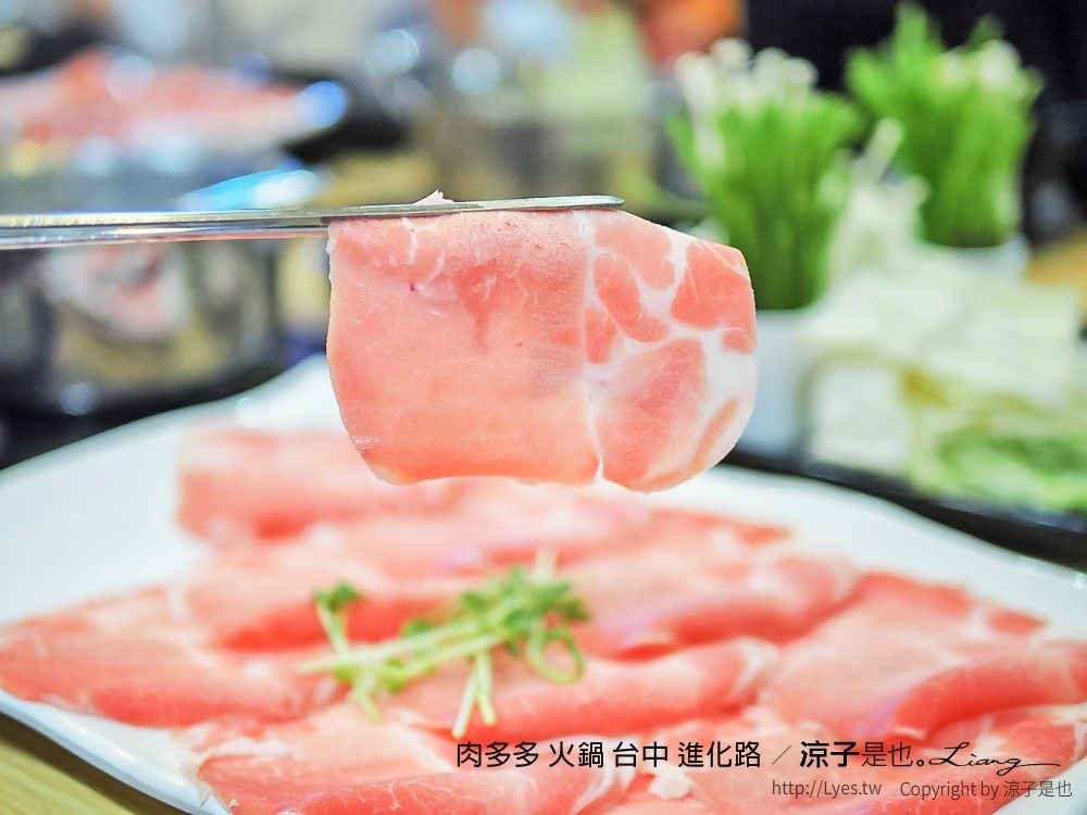 肉多多 火鍋 台中 進化路