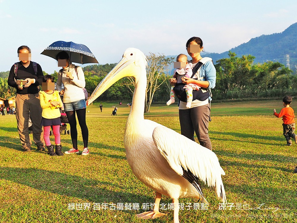 綠世界 百年古厝餐廳 新竹 北埔 親子景點
