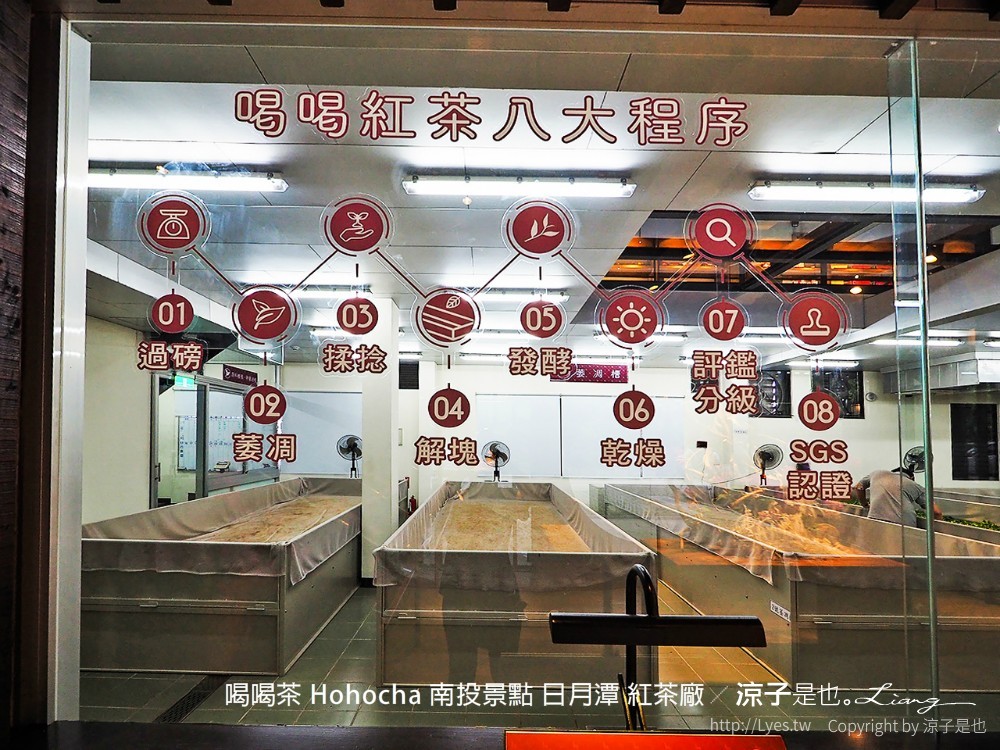 喝喝茶 hohocha 南投景點 日月潭 紅茶廠