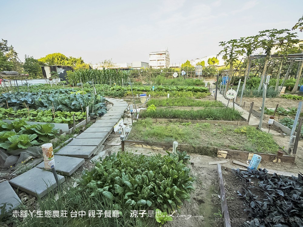 赤腳ㄚ生態農莊 台中 親子餐廳