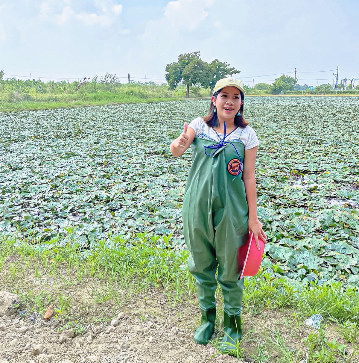 台南親子景點 2022 台南官田菱角季 官田菱角節 採紅菱體驗 划船 台南伴手禮