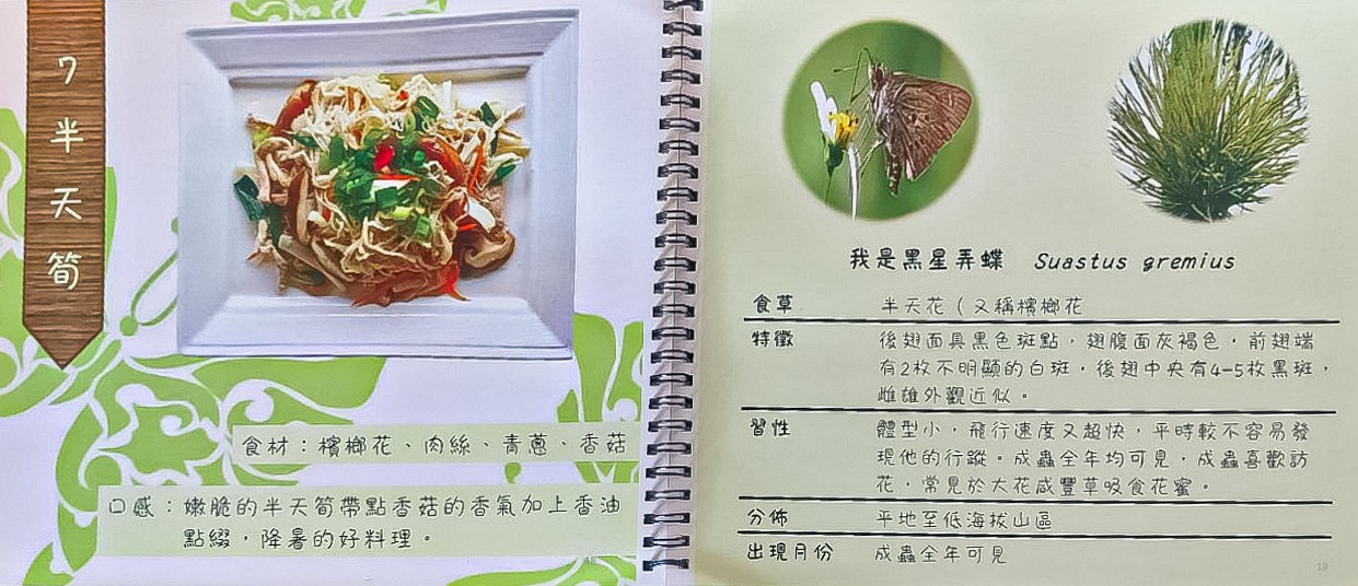 草本生活家 菜單 埔里美食 南投餐廳 預約制合菜餐廳 埔里桃米民宿 晚餐 南投住宿推薦