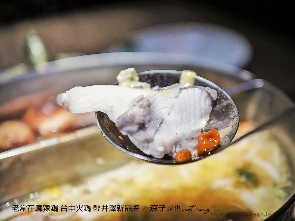 老常在麻辣鍋 台中火鍋 輕井澤新品牌