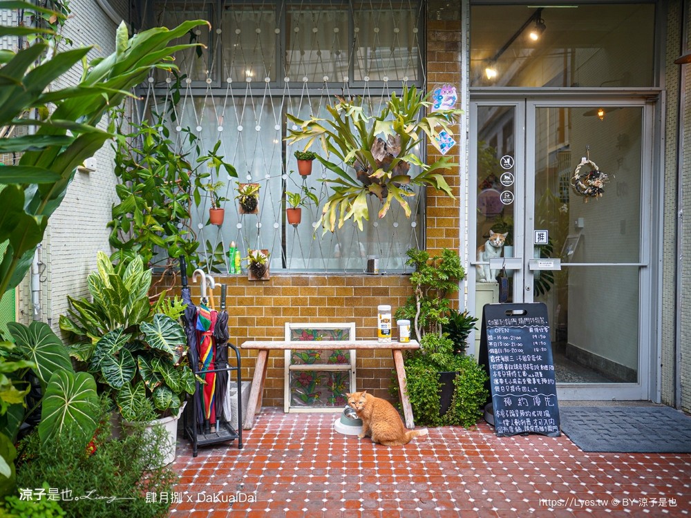 肆月捌xdakuaidai 菜單 台中大里美食 貓咪咖啡 台中特色咖啡廳 甜點 義大利麵 隱藏版餐廳