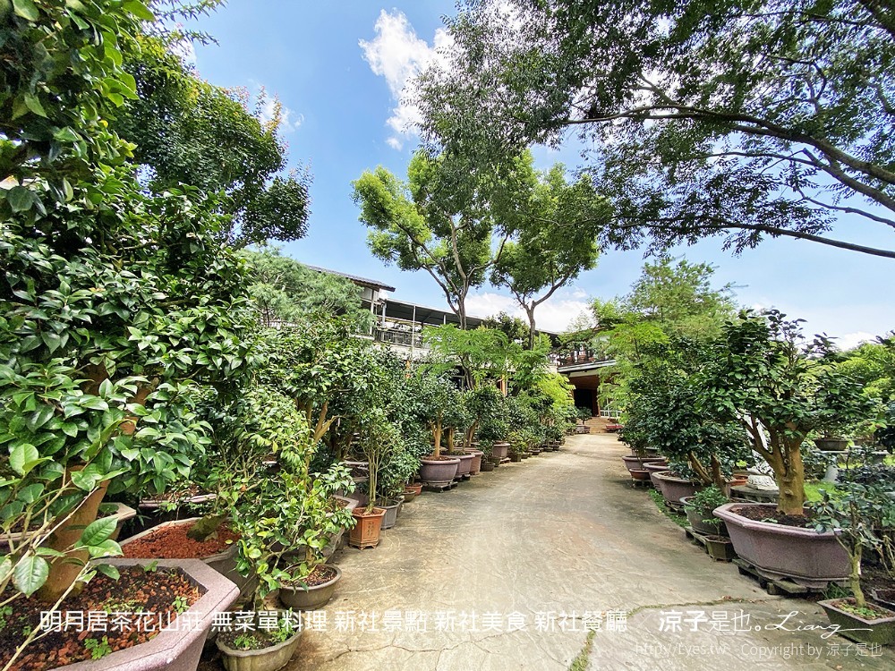 明月居茶花山莊 無菜單料理 新社景點 新社美食 新社餐廳