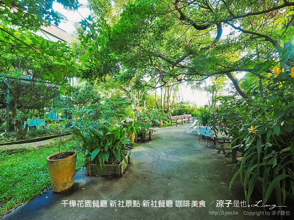 千樺花園餐廳 新社景點 新社餐廳 咖啡美食