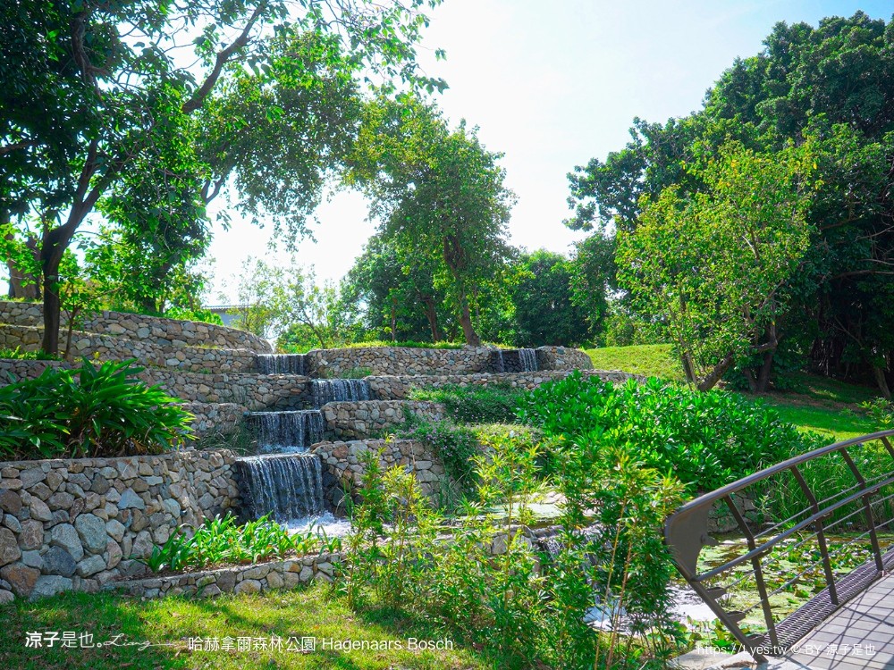 哈赫拿爾森林公園 台南景點 最新公園 森林秘境 開放時間 綠化 生態公園 交通 親子 hagenaars bosch