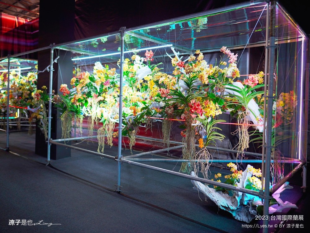 台灣國際蘭展 門票 2023時間 台南景點 魔境 恐龍 親子diy 必看亮點 台南限定蘭花
