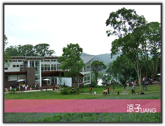 薰衣草森林 明德店08