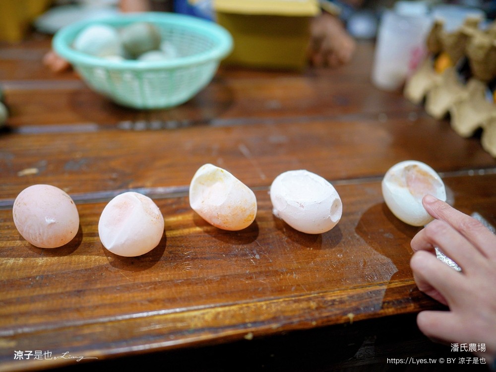 潘氏農場 屏東車城 親子景點 紅仁鴨蛋 鹹鴨蛋DFIY 屏東景點推薦 車城鹹鴨蛋老店推薦