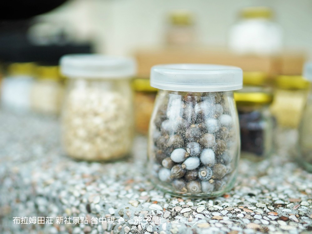 布拉姆田莊 新社景點 台中親子景點 新社美食 親子DIY 台中景點 台中親子景點 DIY活動