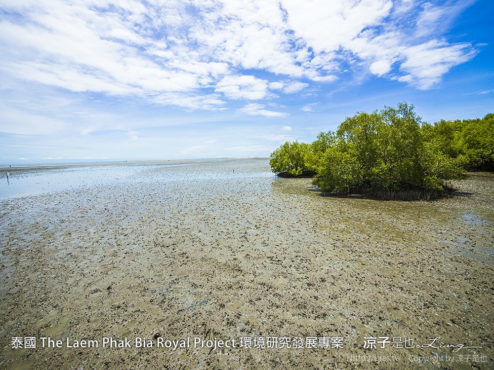 泰國 The Laem Phak Bia Royal Project 環境研究發展專案