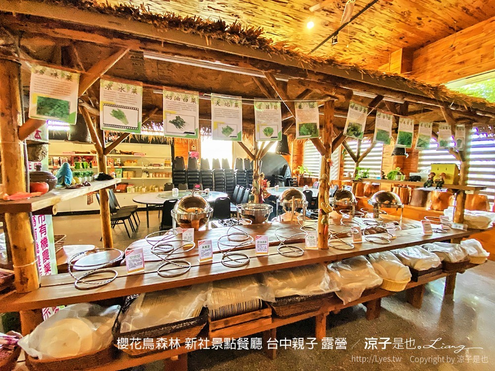 新社景點-櫻花鳥森林 迷你小火車x溜滑梯戲水區x鸚鵡放飛秀x露營 不止花好拍 親子旅遊也好玩！