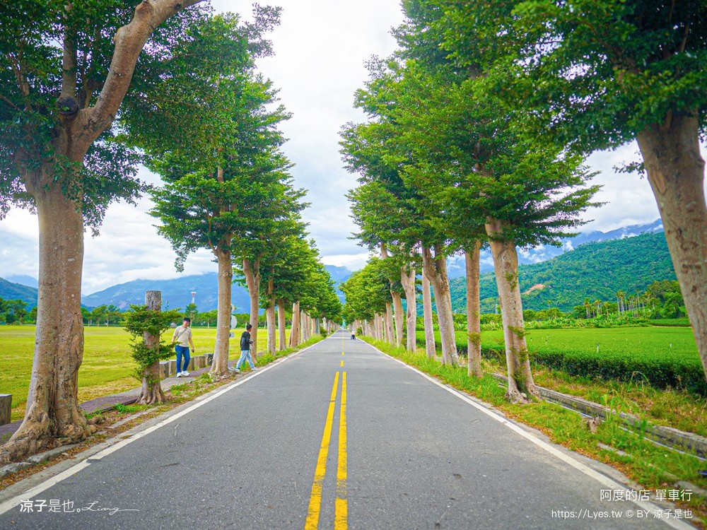 阿度的店 台東景點 鹿野 租車 電動單車遊 綠色隧道 躺馬路 體驗 自行車