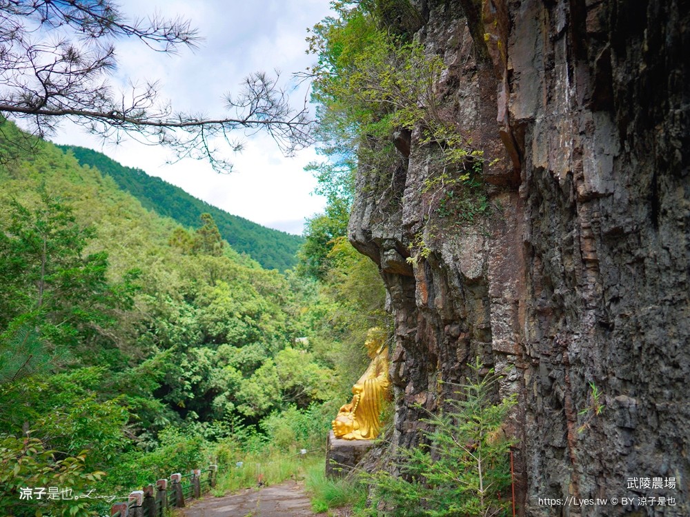福壽山農場 民宿房型 住宿 露營 賞楓