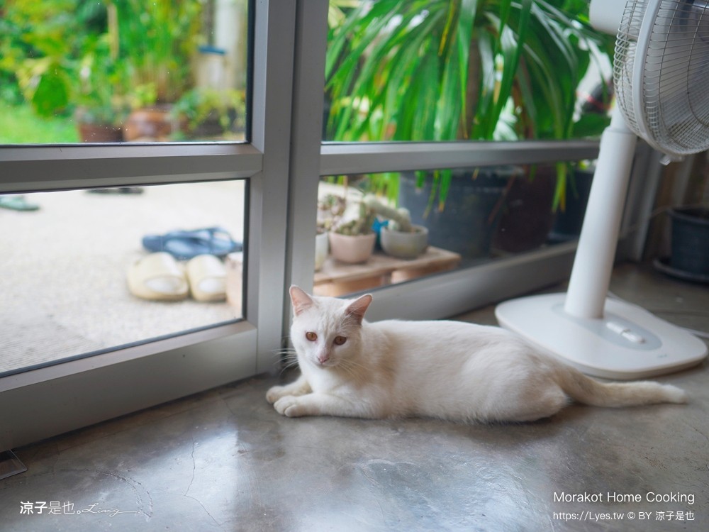 Morakot Home Cooking 泰國 攀牙 มรกตโฮมคุ๊กกิ้ง 普吉島美食推薦 無菜單 私廚料理 預約制 普吉島餐廳 泰國 攀牙 普吉島美食推薦 無菜單 私廚料理 預約制 普吉島餐廳