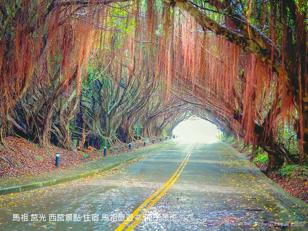 馬祖 莒光 西莒景點 住宿 馬祖旅遊