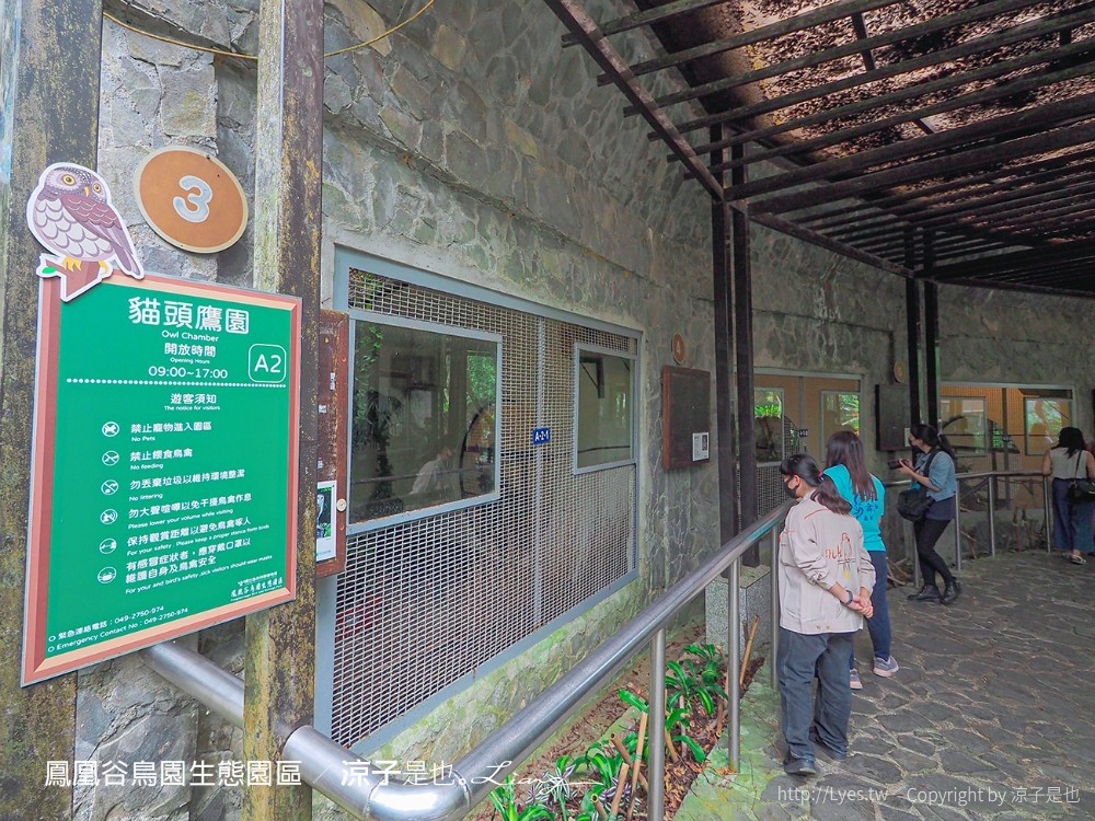 鳳凰谷鳥園生態園區 南投 親子景點 森林溜滑梯 賞鳥 DIY 鹿谷 步道 吊橋 瀑布