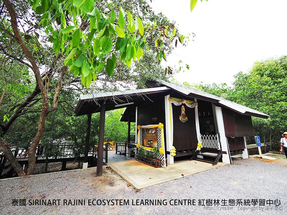 泰國 SIRINART RAJINI ECOSYSTEM LEARNING CENTRE 紅樹林生態系統學習中心