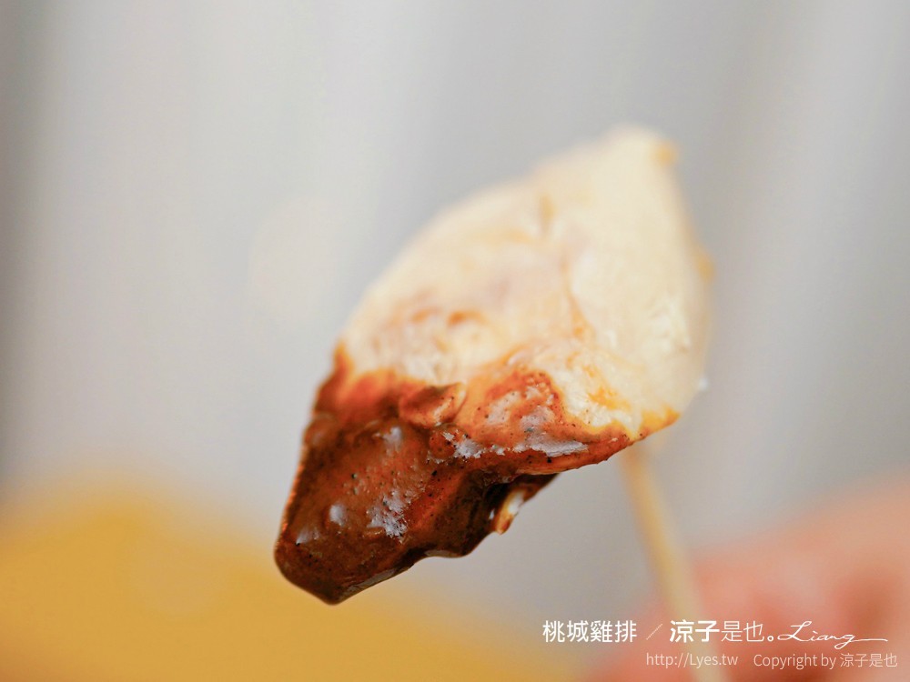 嘉義美食-桃城雞排(附菜單) 中正創始店 炸全雞超豪邁 秘製椒麻醬還蠻香滴！