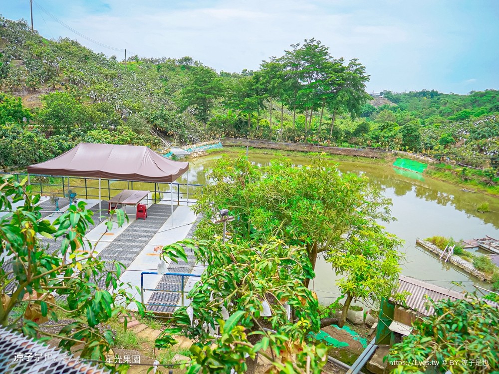星光 親子景點 免費採果活動 台南農場 台南露營 diy 採芒果體驗 自然的鬥士