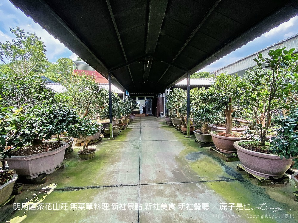 明月居茶花山莊 無菜單料理 新社景點 新社美食 新社餐廳